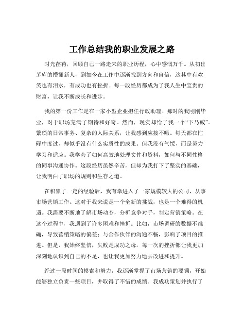 工作总结我的职业发展之路