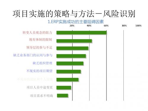 ERP项目实施的策略与方法