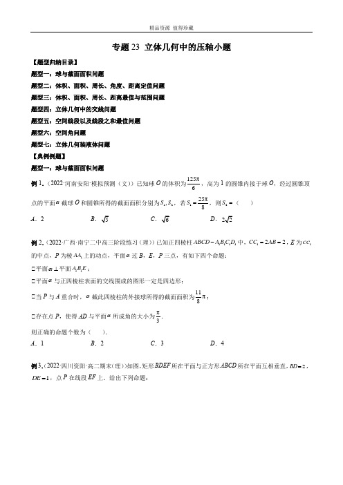 2023年新高考数学大一轮复习专题23 立体几何中的压轴小题(原卷版)