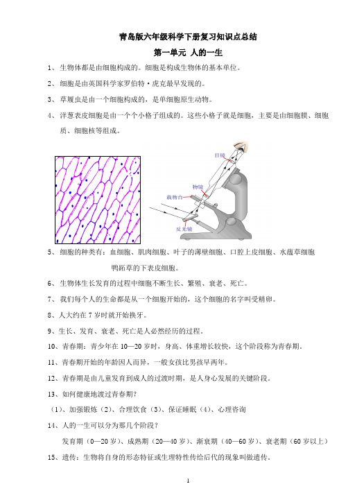 青岛版六年级下册科学(全册)知识点总结及试题