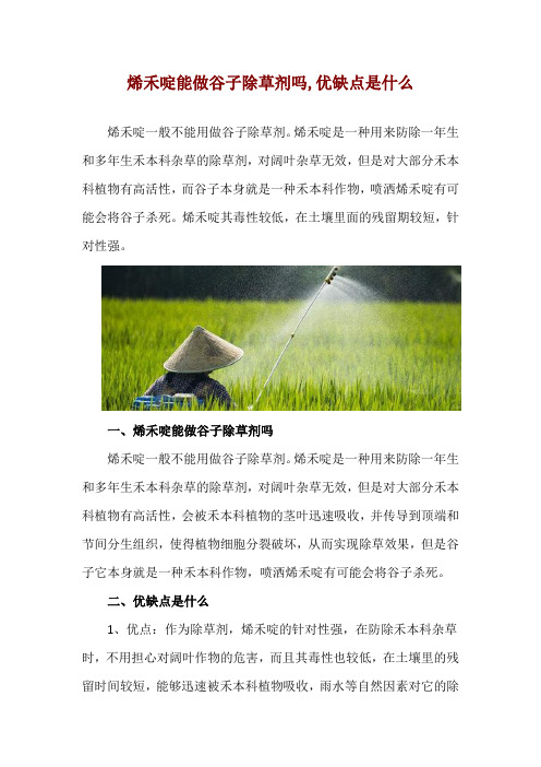 烯禾啶能做谷子除草剂吗,优缺点是什么