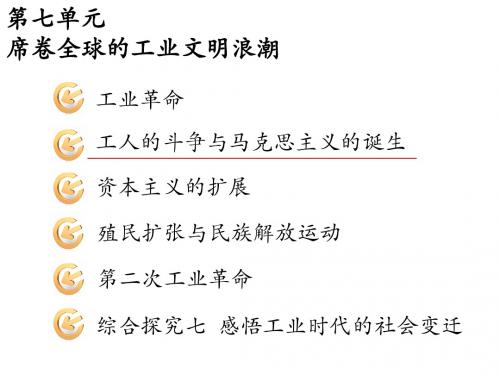 5.2.4 冲破思想的牢笼 课件 (人教版历史与社会八年级下) (9)