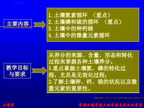 土壤学第九章-土壤养分循环ppt课件