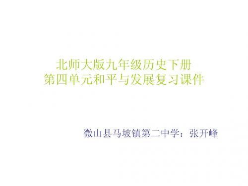 北师大版九年级历史下册第四单元和平与发展复习课件