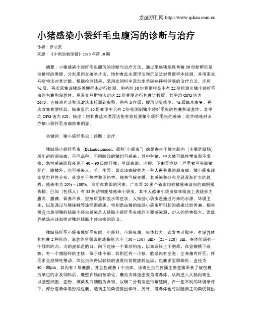 小猪感染小袋纤毛虫腹泻的诊断与治疗