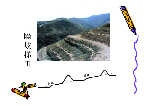 土地利用规划课件-第3章-土地利用专项规划3-3