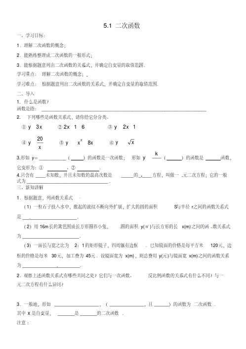 新苏科版九年级数学下册《5章二次函数5.1二次函数》教案_22