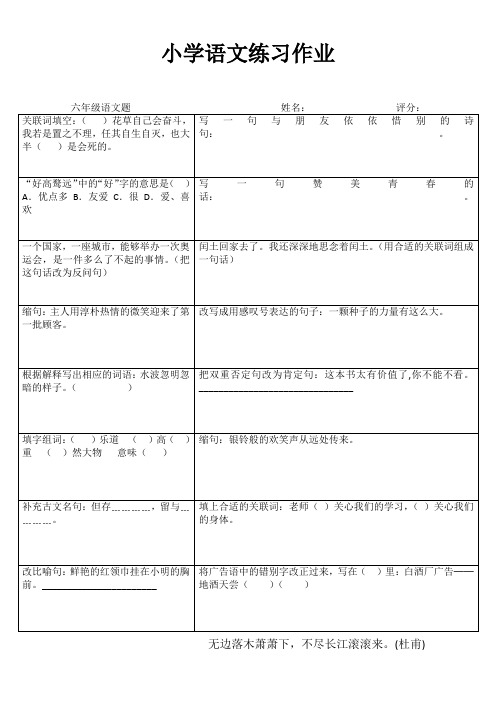 小学六年级语文拓展训练IV (8)