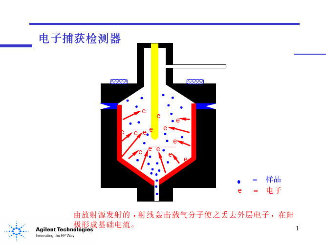 ECD检测器