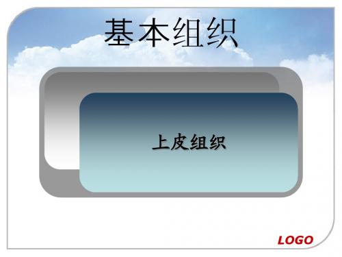基本组织——上皮组织
