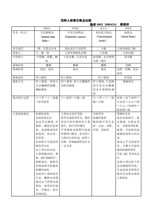 四种吸虫比较