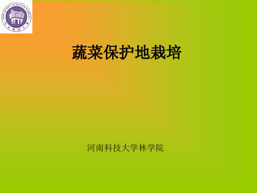蔬菜保护地栽培栽