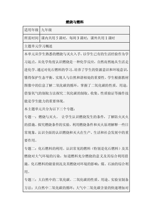 初中化学《燃烧与燃料》单元教学设计以及思维导图3