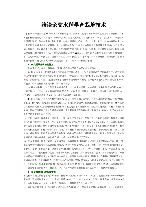 杂交水稻旱育栽培技术