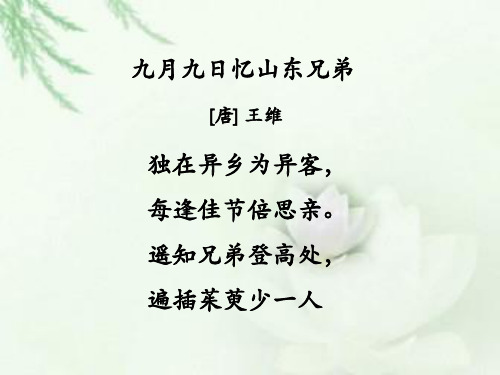 《故乡的芦苇》课件1