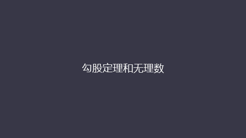 人教版八年级数学下册第十七章：17.1.3勾股定理和无理数 课件(共39张PPT)