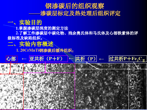 合金钢渗碳后的组织观察