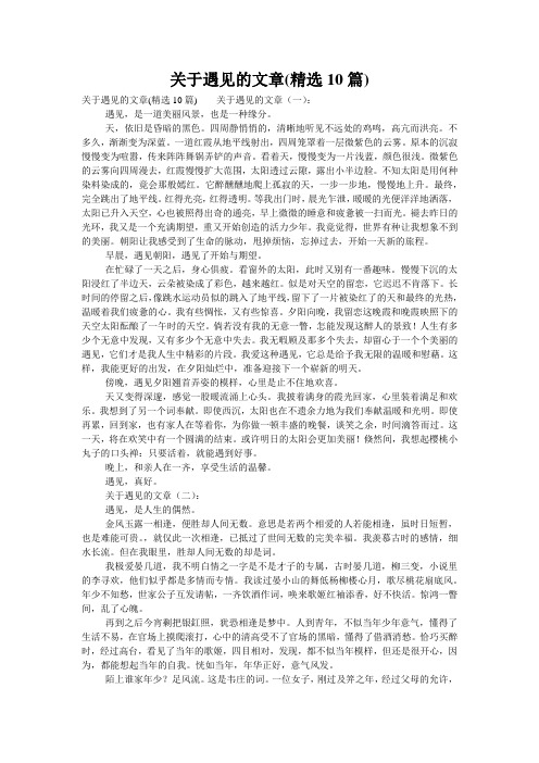 关于遇见的文章(精选10篇)