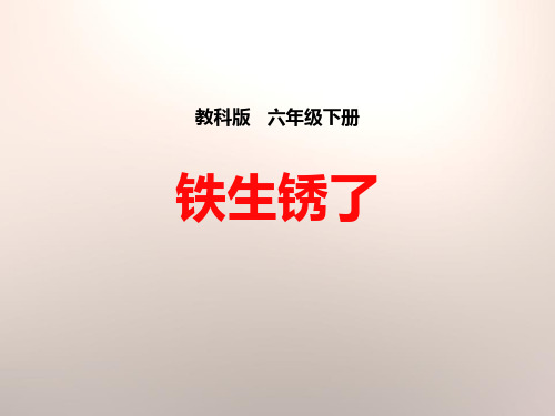 《铁生锈了》物质的变化课件PPT