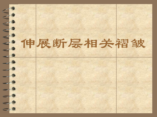 伸展断层相关褶皱PPT课件