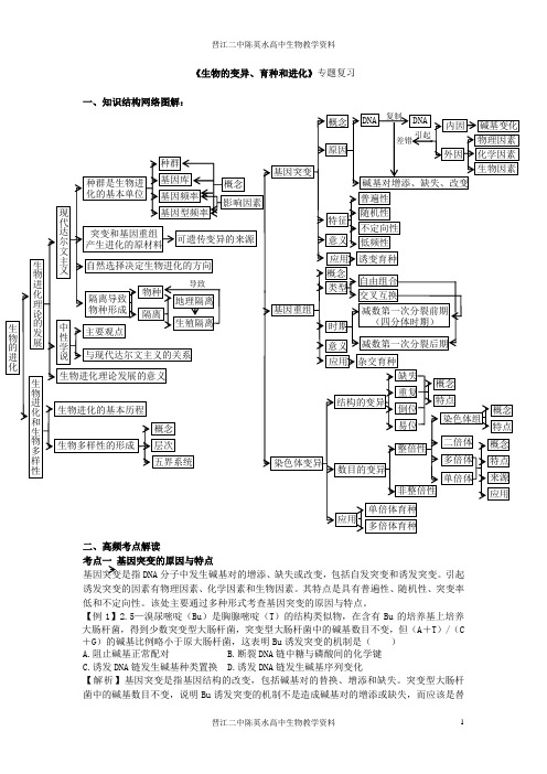 《生物的变异、育种和进化》专题复习