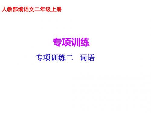 人教部编语文二年级上册语文课件专项复习训练二词语