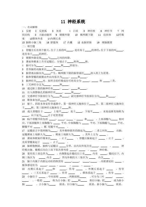 解剖学试题及答案-神经系统