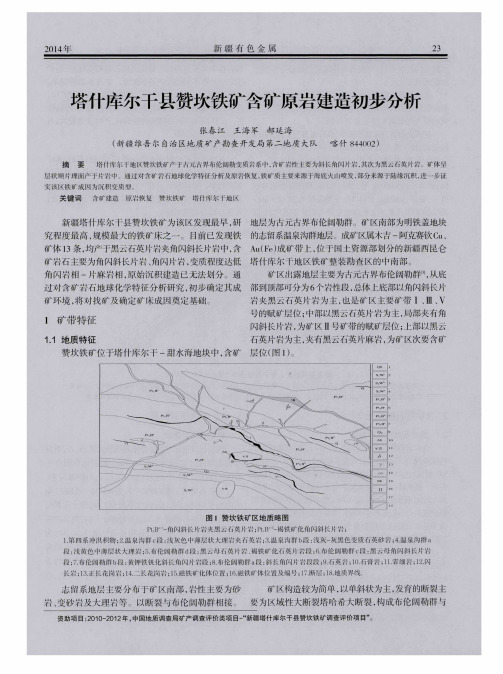 塔什库尔干县赞坎铁矿含矿原岩建造初步分析