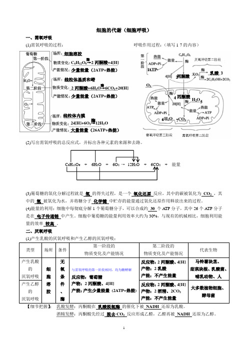 高三一轮复习生物:导学案5细胞呼吸