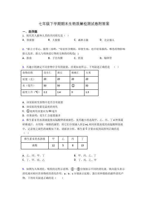 七年级下学期期末生物质量检测试卷附答案