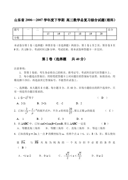 山东省2006—2007学年度下学期 高三数学总复习综合试题(理科)