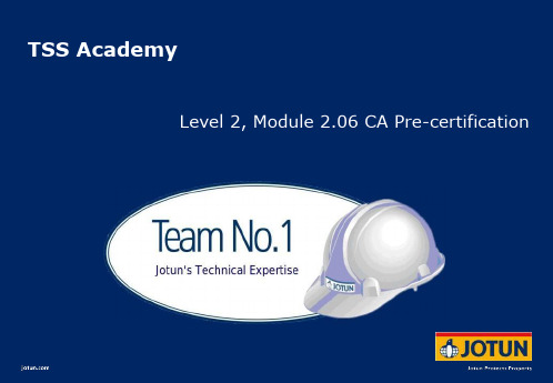 Team No.1 Module 2.06 CA Pre-certification (T1L2206_v2)