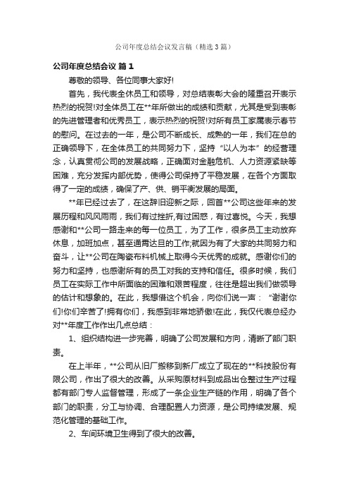 公司年度总结会议发言稿（精选3篇）