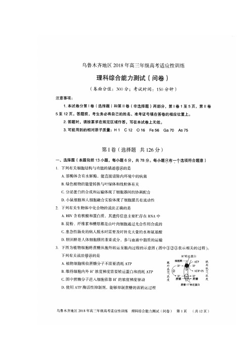 新疆乌鲁木齐市2018届高三高考适应性训练理科综合生物试题(图片版)