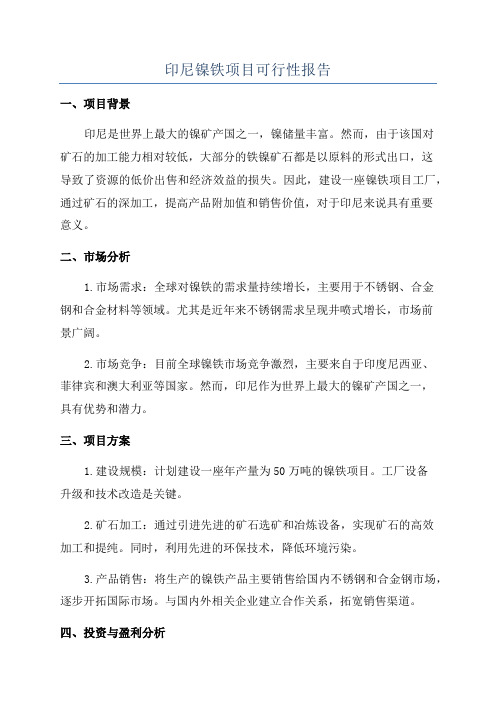 印尼镍铁项目可行性报告