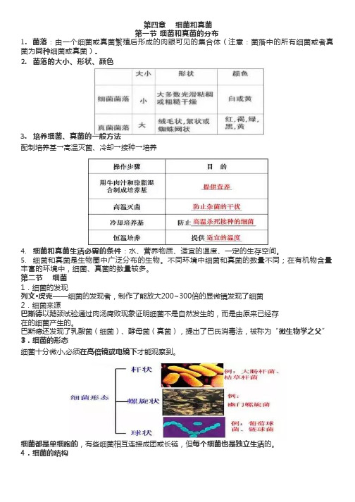 人教版生物八年级上册第四章《细菌和真菌》知识点