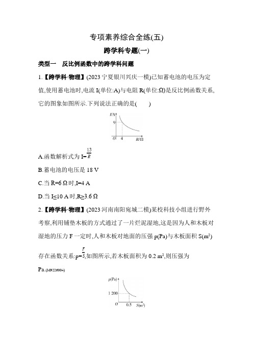 53模拟试卷初中数学九年级下册05专项素养综合全练(五)