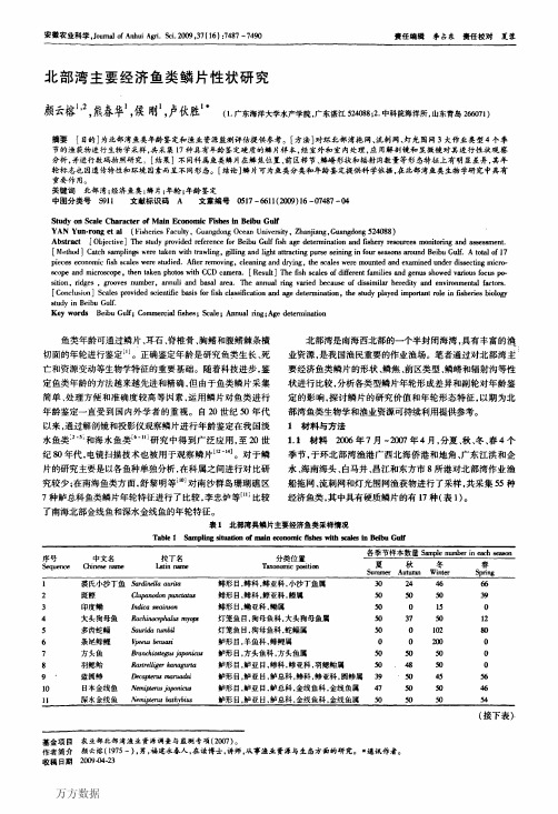 北部湾主要经济鱼类鳞片性状研究