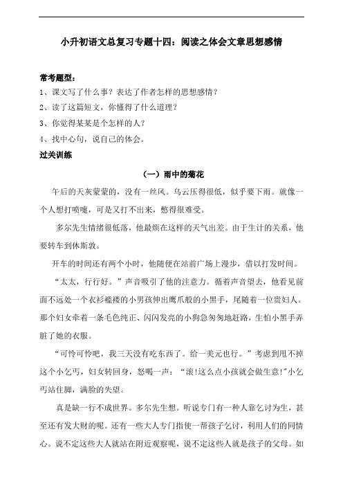 人教统编版小升初语文总复习专题十四阅读之体会文章思想感情同步练习(含答案)