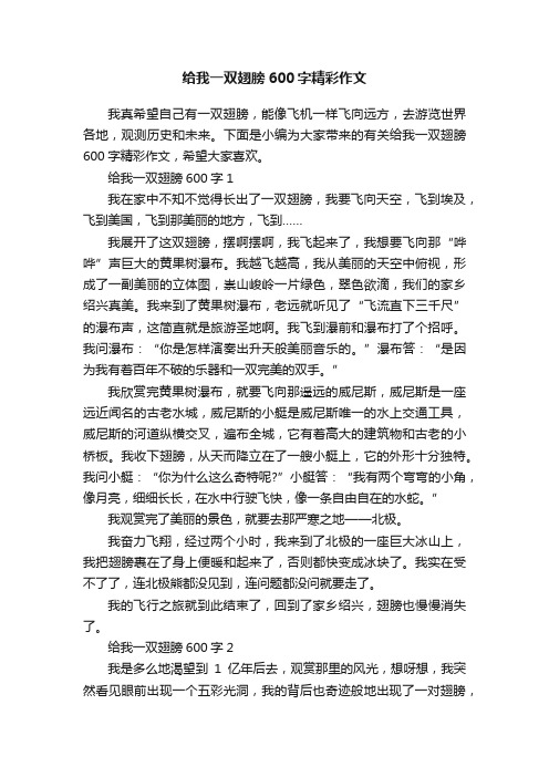 给我一双翅膀600字精彩作文