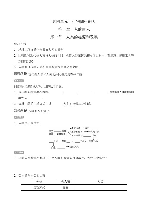 人教版生物七年级下册第四单元 第一章 第一节 人类的起源和发展 导学案(含答案)