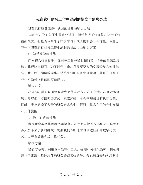 我在农行财务工作中遇到的挑战与解决办法