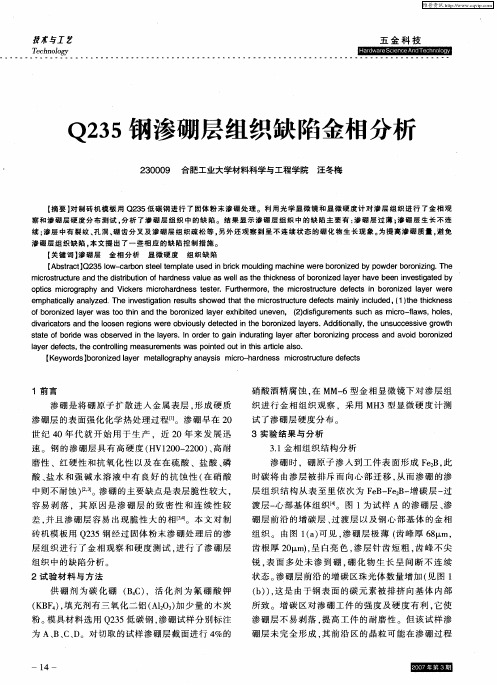 Q235钢渗硼层组织缺陷金相分析