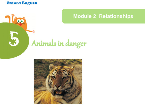 【总结】牛津上海版六上复习《5 Animals in danger》