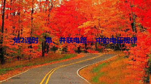 九年级物理全册 第十四章 了解电路 第五节 测量电压 第2课时 串、并联电路中的电压规律课件