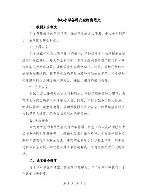 中心小学各种安全制度范文