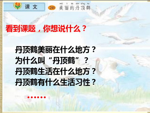 苏教版小学语文二年级上册课文20美丽的丹顶鹤-62页文档资料