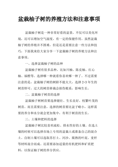 盆栽柚子树的养殖方法和注意事项