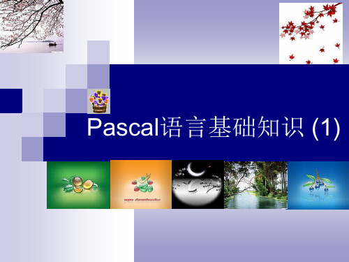 free pascal 语言入门(1)