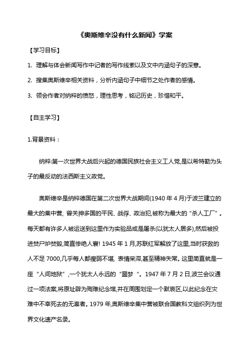 奥斯维辛没有什么新闻学案